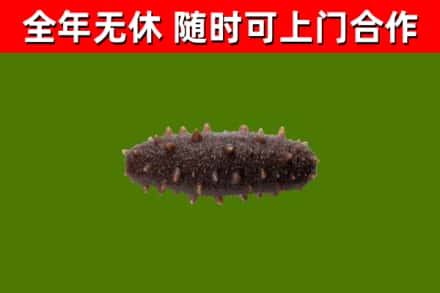 阳曲烟酒回收干海参.jpg